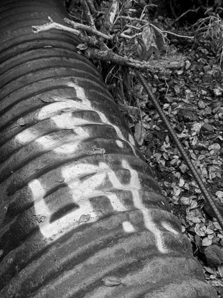 Black and white image of a large corrugated pipe that has white graffiti written on it. The pipe is lying on top of rocks, gravel and dead vegetation. There is one piece of rebar next to the pipe. This area used to be covered with a cement bridge that has since partially washed away. It's in an outlet of a creek bed. There is a jumble of branches caught between the rebar and pipe.