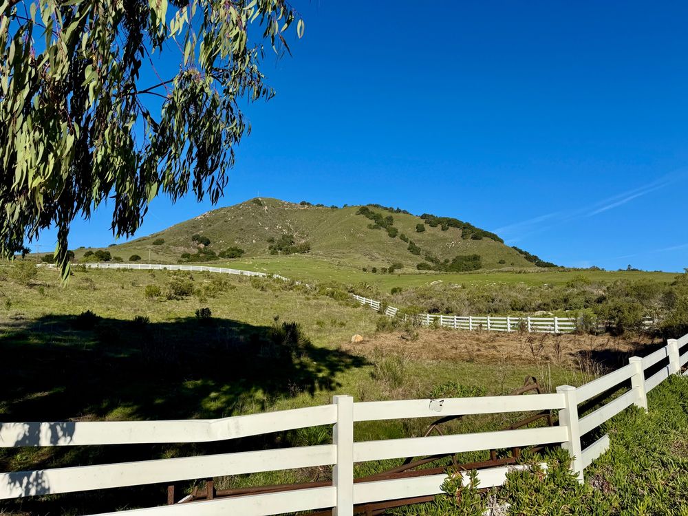View of Cerro San Luis mountain from its base and trailhead. There is a white fence that begins at the trailhead and curves around and up the hill, drawing your eye towards the peak of the mountain and a eucalyptus tree in the foreground. The sky is bright blue, and the mountain and hills are a dull green. Cerro San Luis mountain and trail in San Luis Obispo, California.