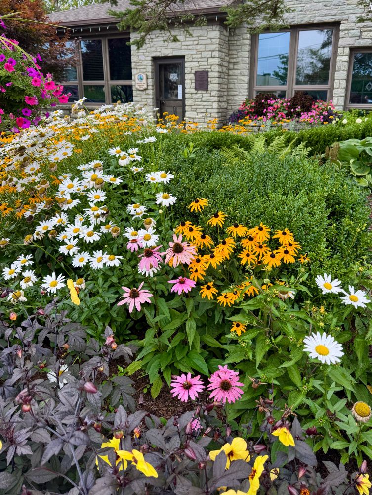 A lush flowerbed with many types of different colored flowers is so dense that it partially obscures the view of a rock/brick building behind it.