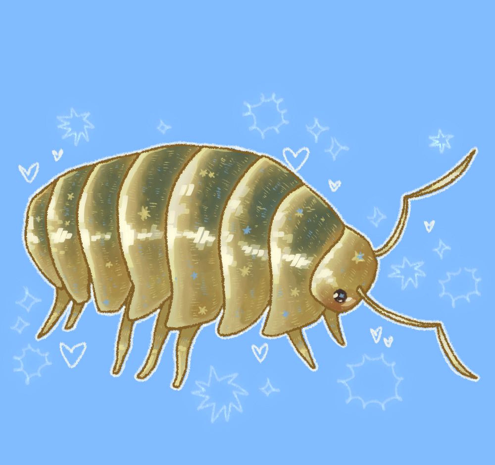 A digital illustration of a very sweet looking rollie pollie. He is sparkly and shiny all over with a soft blush under his eyeball. He floats in a vibrant blue background surrounded by glittery stars.