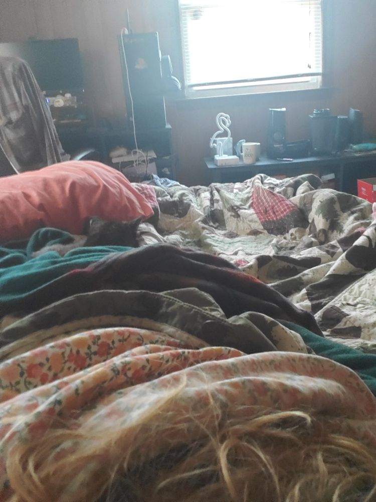 A bed with three blankets of differing patterns laid on it. In the center there is the head of a cat, barely visible past one of the blankets.