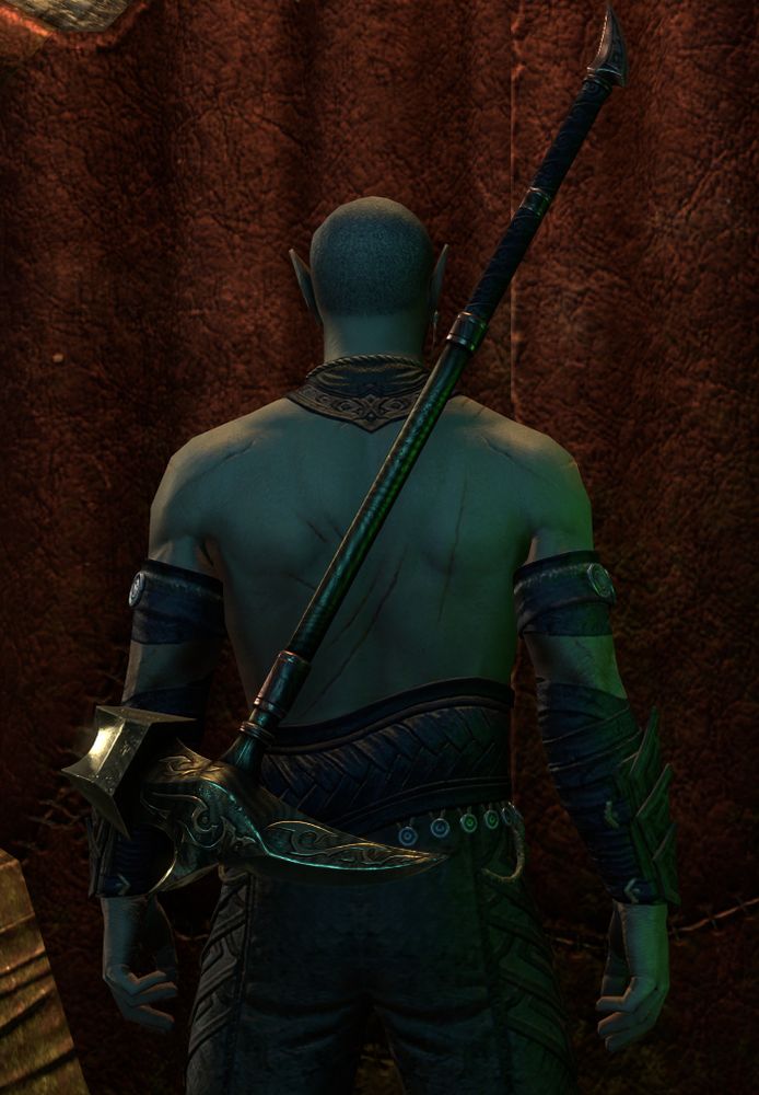 eso screenshot. 빡빡이 던머 뒷모습.