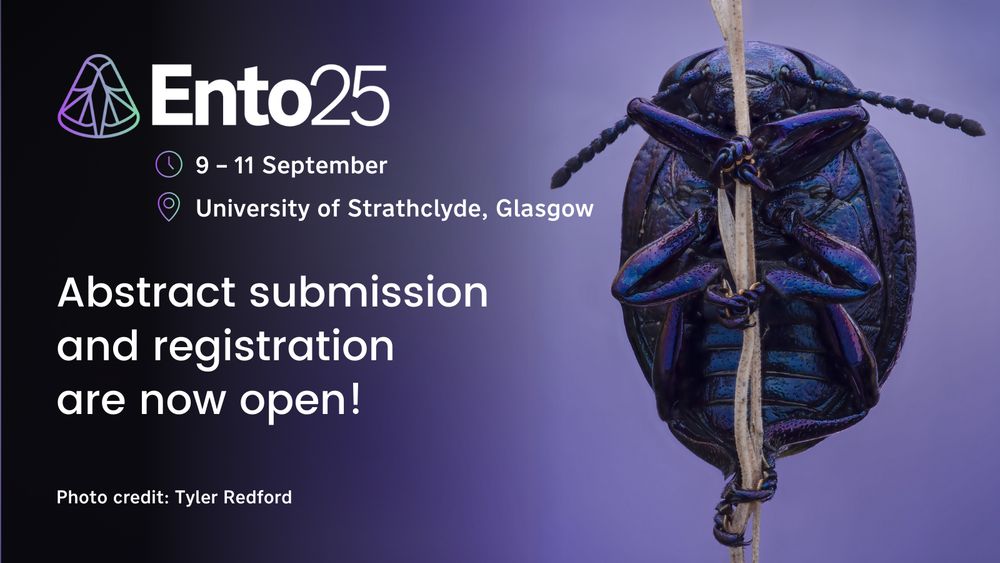 Abstract submission and registration are now open for Ento25 - advertisement featuring a Violet Leaf Beetle (Chrysolina strumi), photo (c) Tyler Redford 2024