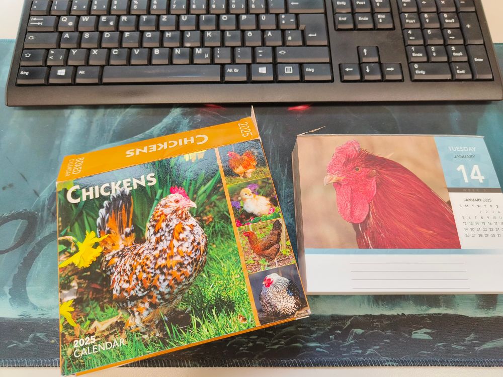 Daily chicken calendar 