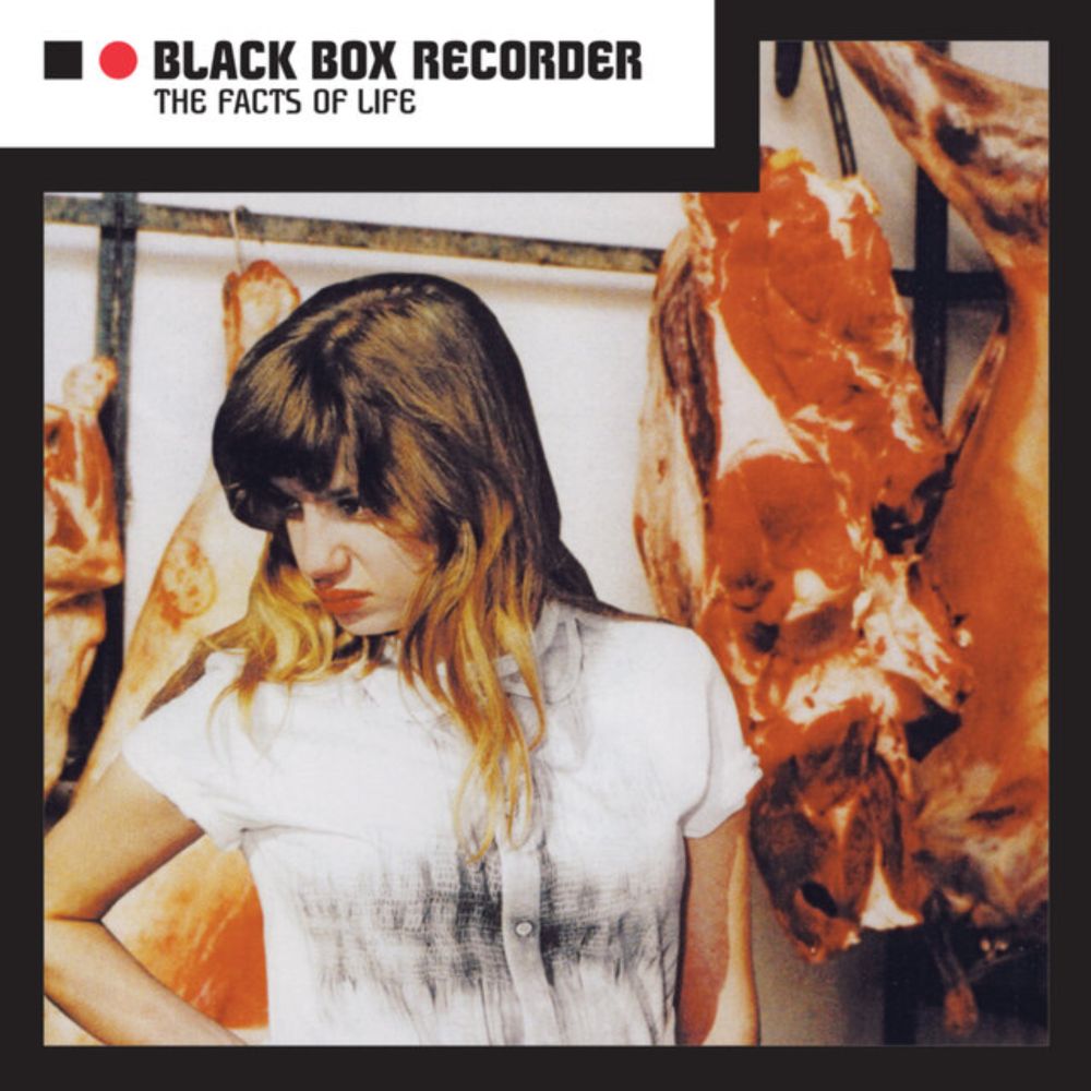 Black Box Recorder - Goodnight Kiss