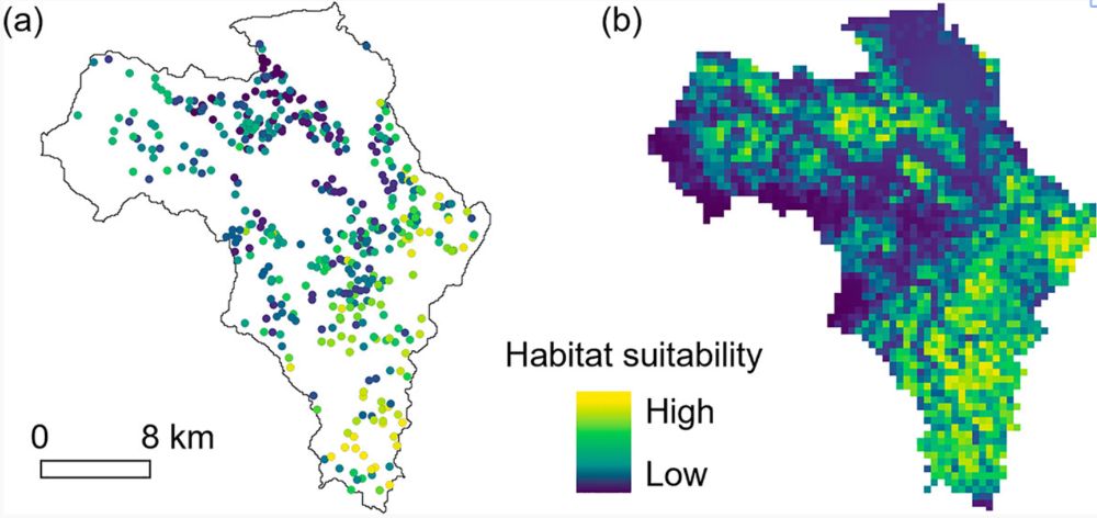 Graphical abstract: This study examined the impact of catchment-scale land use on the distribution of spring-dependent animals. GLM and MaxEnt analyses revealed that spring water stability and the percentage of permeable surfaces positively influenced the presence of Lefua echigonia, an indicator of spring-dependent animals. These findings highlight the importance of catchment-scale land use management for the conservation of spring-dependent animal habitats.