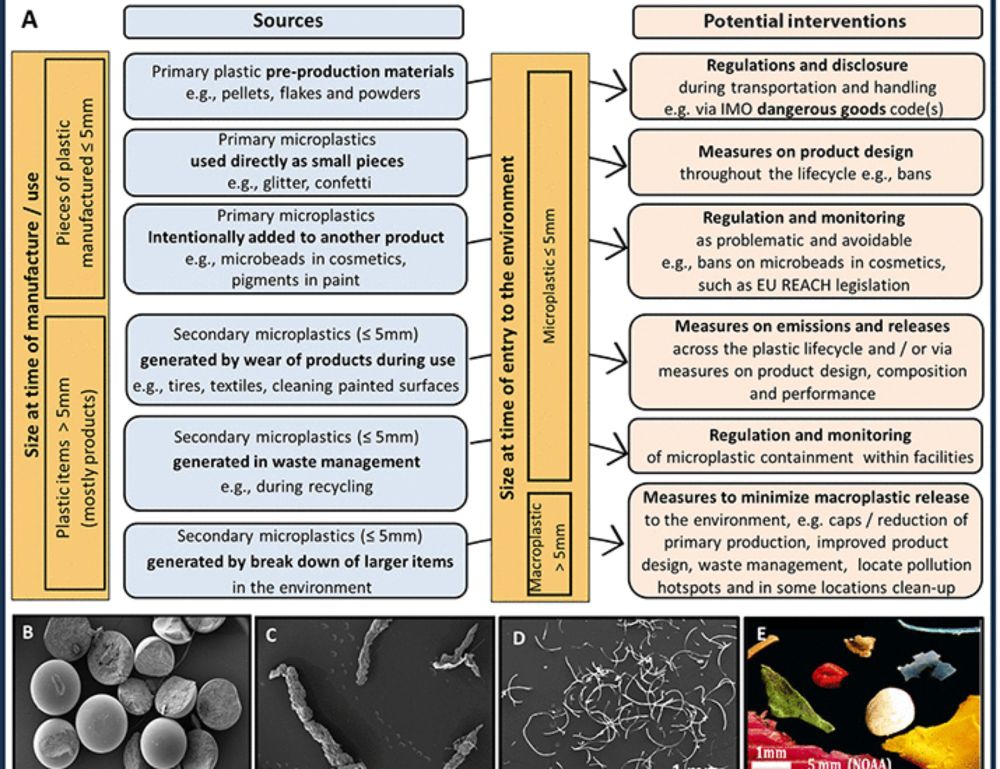 Twenty years of microplastics pollution research—what have we learned?