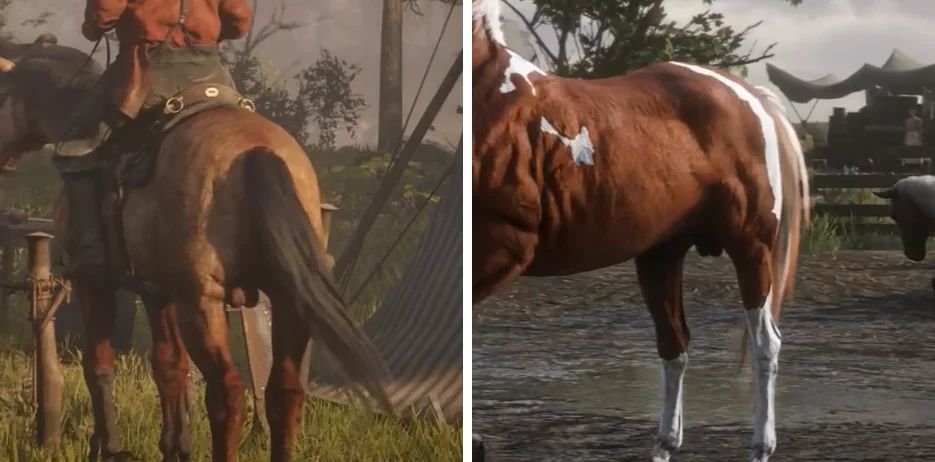 two screenshots from Red Dead Redemption 2 with very visible horse testicles
