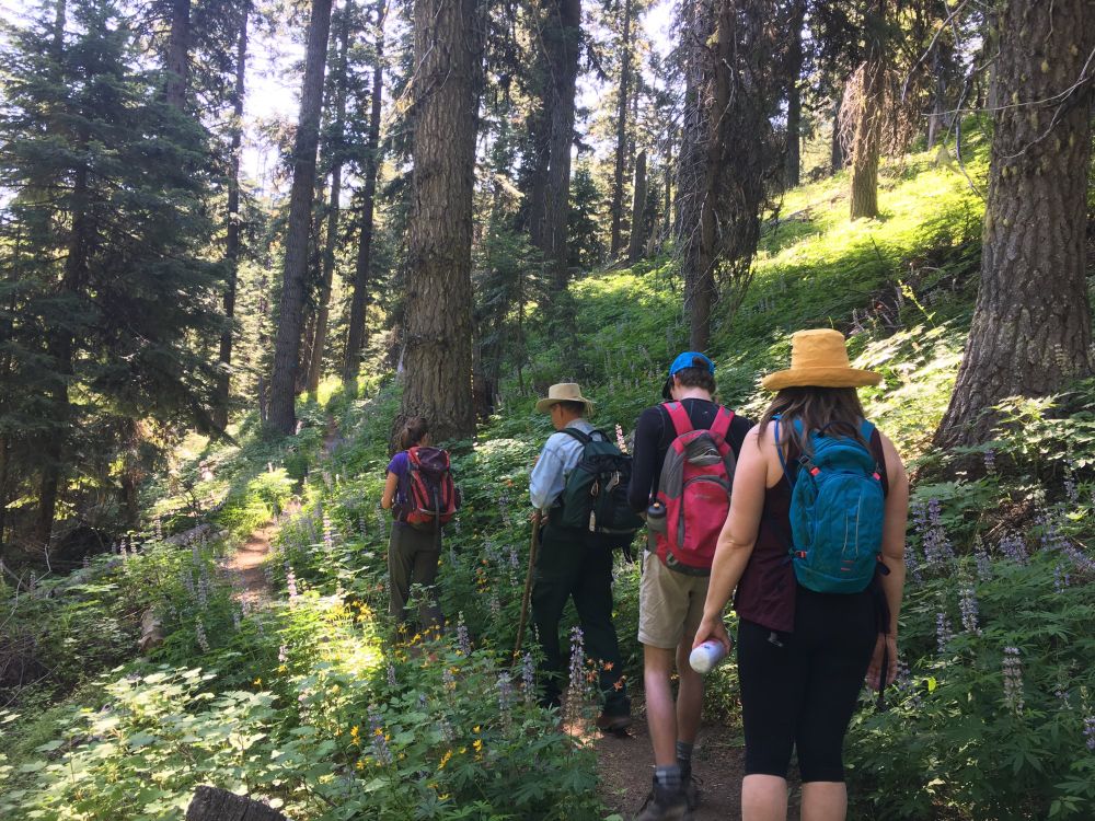 Hikers walk through a forested meadow of wildflowers and ancient trees in Oregon's Lookout Mountain Inventoried Roadless Area. 