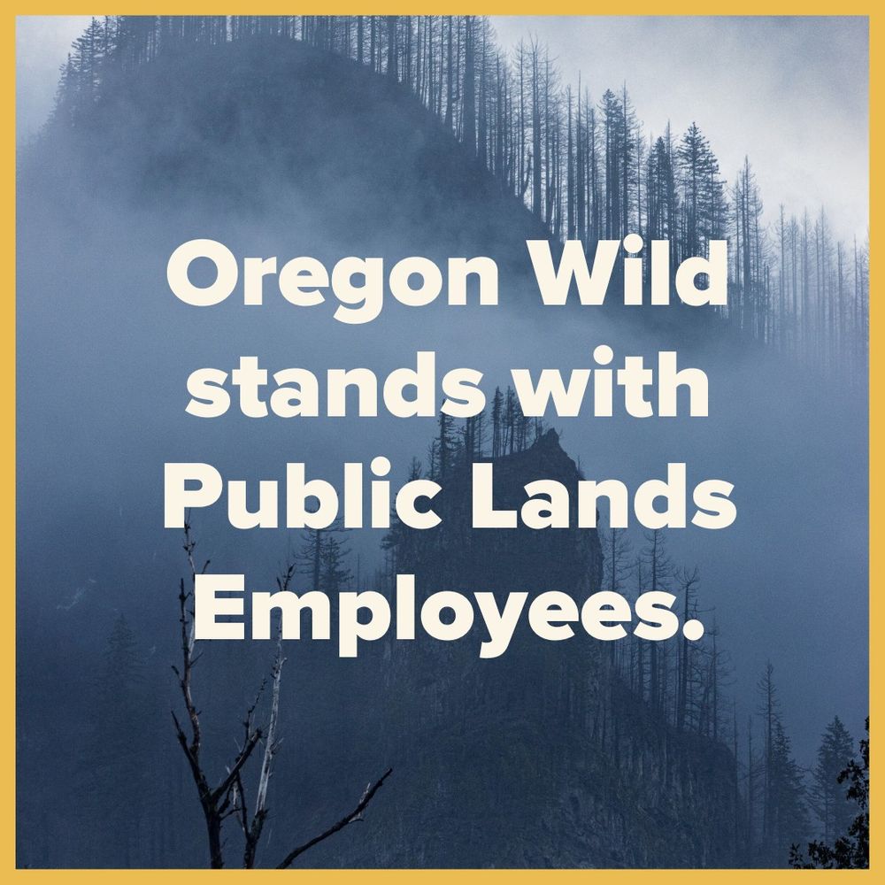 Oregon Wild stands with Public Lands Employees text over an image of a foggy forest in the Columbia River Gorge