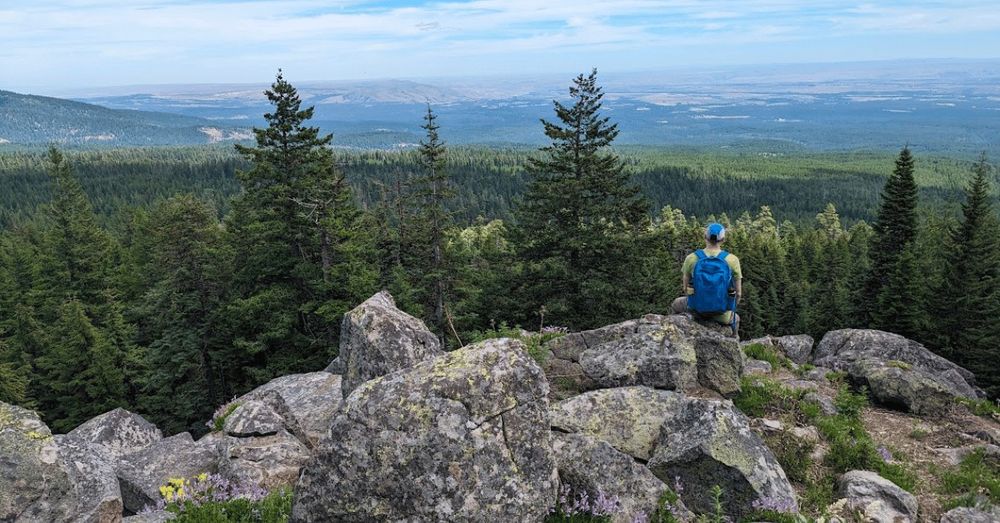 A man in a hat wearing a blue backpack sits on a rocky outcropping overlooking a vast green forest.