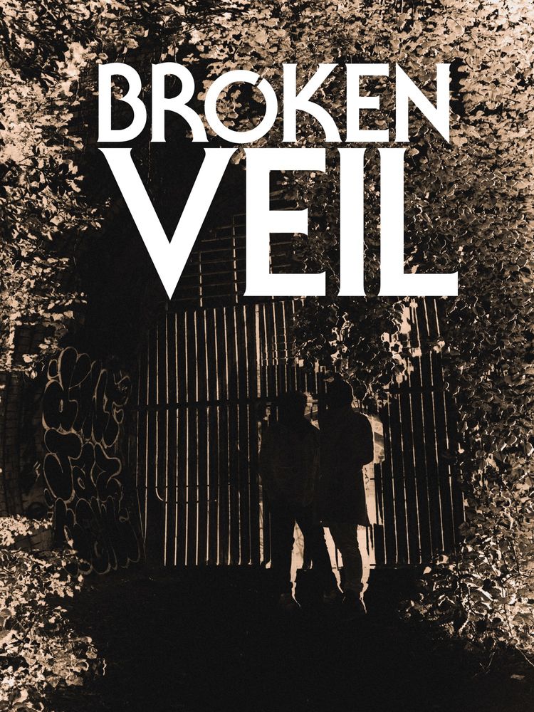 BROKEN VEIL