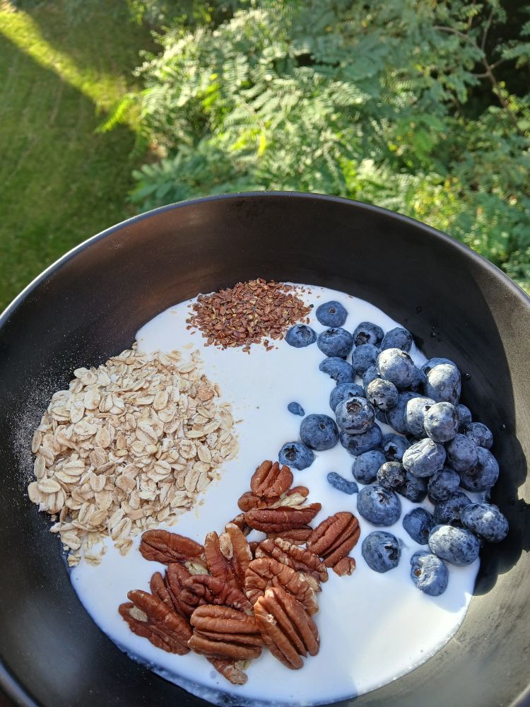 Schuessel mit Mineralwasser verruehrter Quark (40%), kernige Haferflocken, geschroteter Leinsamen, Heidelbeeren und Pekannusskerne.