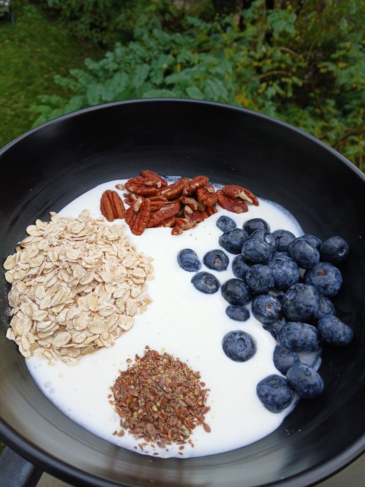 Schale mit Mineralwasser verruehrter Quark (40% i.Tr.), kernige Haferflocken, geschroteter Leinsamen, Pekannusskerne & Heidelbeeren. 
