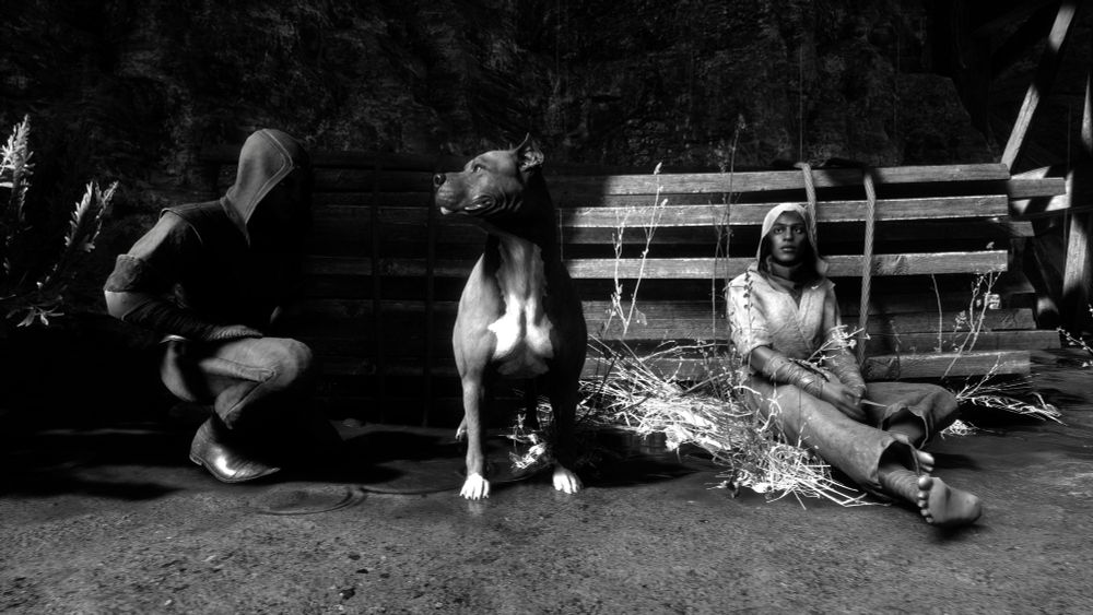 A black and white photo of two NPC characters sitting next to a mabari hound smiling looking off to the left of camera. They are sitting in front of a pile of lumber on the beach. It is raining. 
