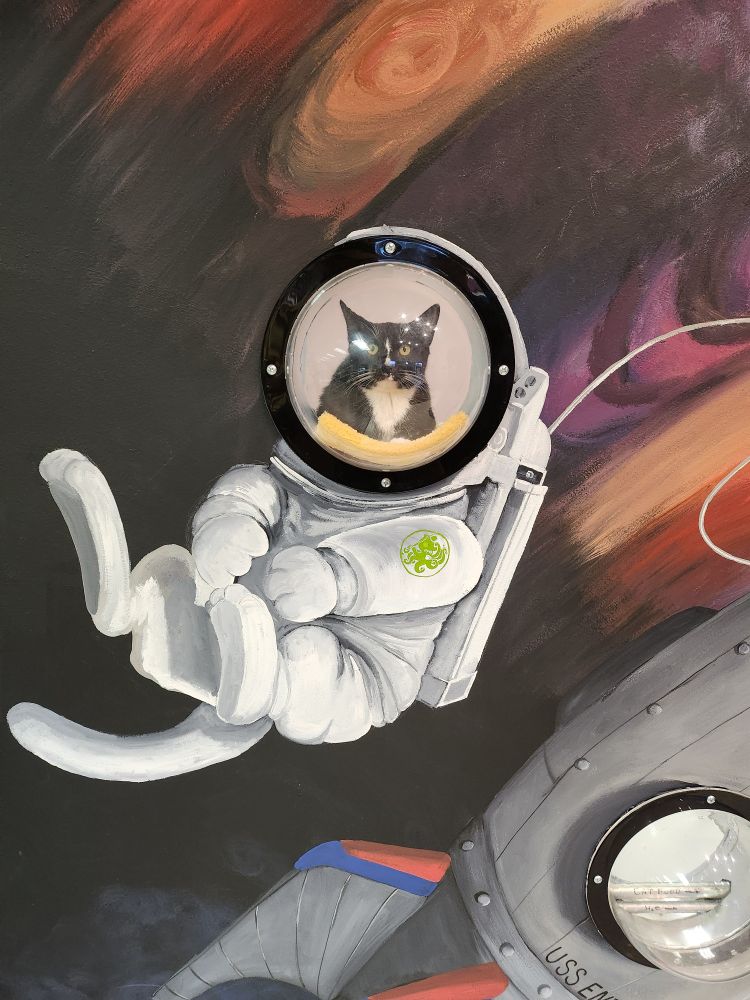 A black and white tuxedo cat sitting in a porthole window, in a wall with a mural painted to make the porthole look like the helmet of a space suit of a cat floating in space. Behind the cat in the mural is a planet that looks like Jupiter. 