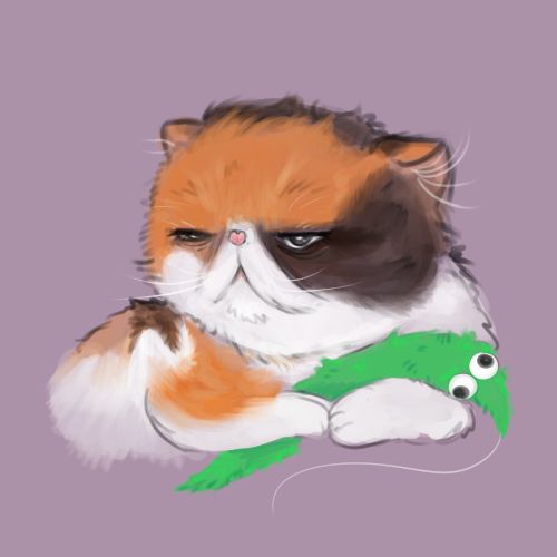 a grumpy persian cat that just woke up from a nap, holding a worm on a string
