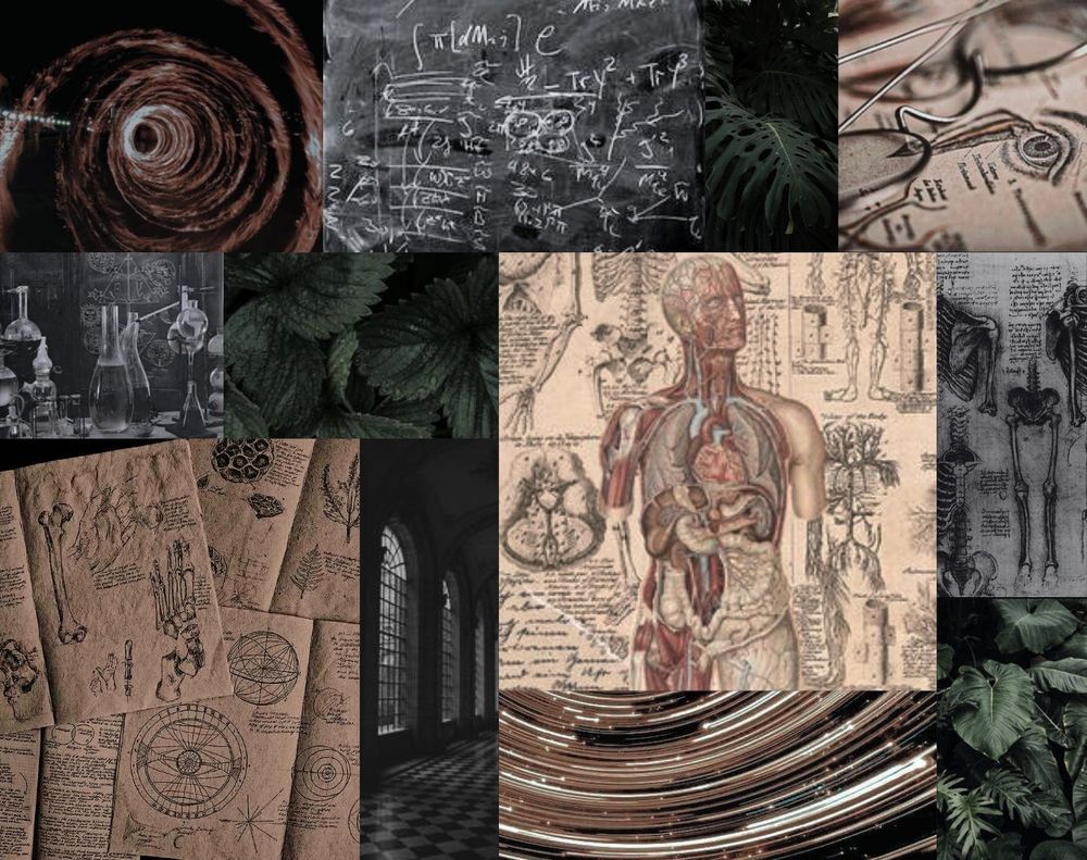 Moodboard for an #amquerying manuscript featuring images of chemistry glassware; equations on a chalkboard; anatomical, botanical and medical diagrams; dark, lush foliage, and stars streaking through a night sky with long exposure astrophotography.