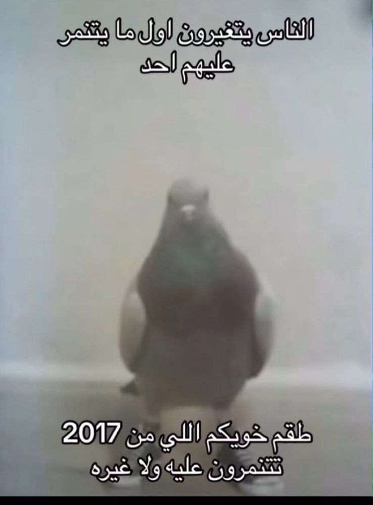 Comment image