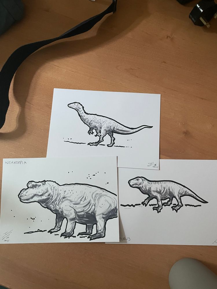 3 sketches of 3 prehistoric animals, Hipposaurus on the right Nierkoppia on the left and Nqwebasaurus on the top