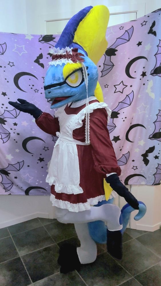 Inteleon Indy as Maid