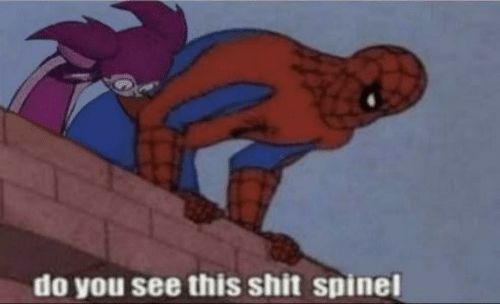 Image of the web head and Spinel from Steven Universe. Bottom text reads "do you see this shit spinel"
