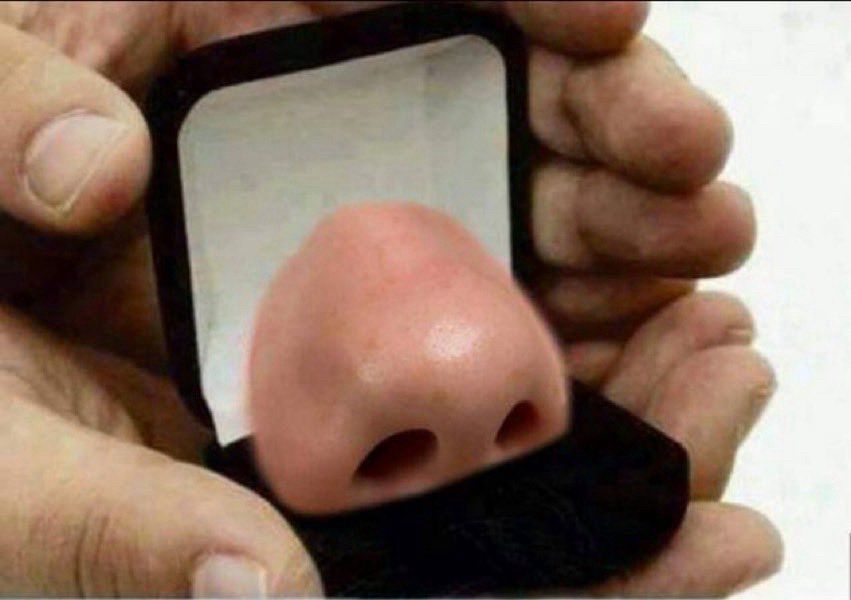 A black engagement ring box with a nose in it instead of a ring
