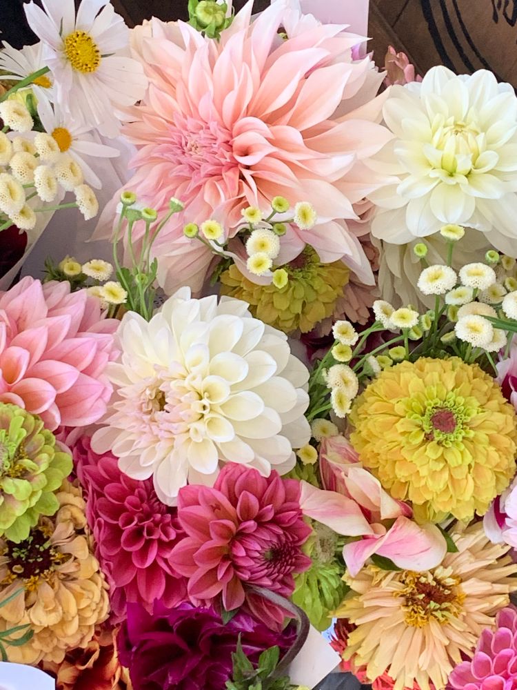 A variety of locally cut flowers in pinks, yellows and white.