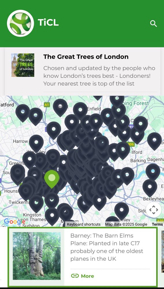 Follow the link to see our ‘live’ map of The Greatest Trees in London