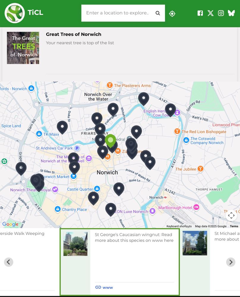 Follow the link to see a map of Norwich’s loveliest trees