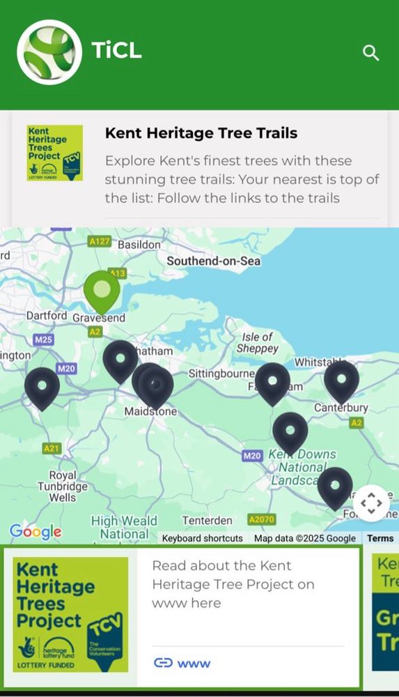 The five year long Kent Heritage Trees Project ran between 2011 and 2016. It involved hundreds of people of all ages from across the region in an education and activity programme focused on Kent's rich stock of heritage trees. The project surveyed and recorded over 10,000 heritage trees across the county and created eight tree trails across the county.