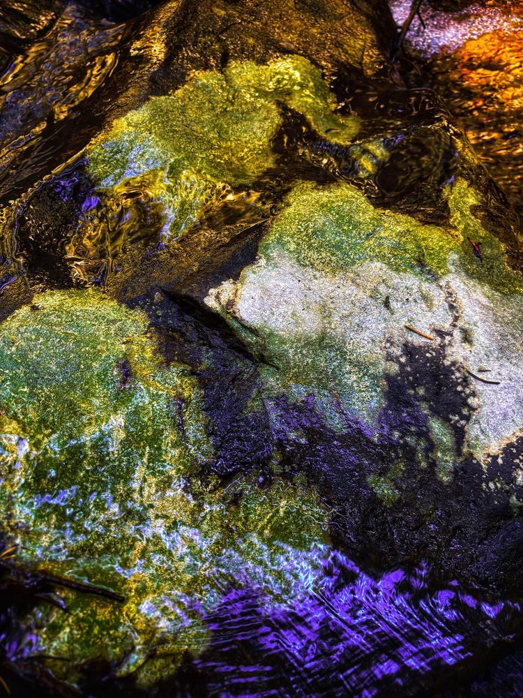 Abstract colored photo of river rocks covered with various types of fluorescent looking algae, enclosed with purple reflections of the flowing water. Picture taken on a mountain hike this past August.