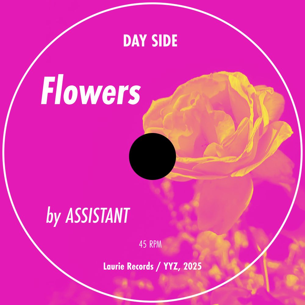 Split 7” side A: Flowers by Assistant - a perfect slice of glistening indie pop. 