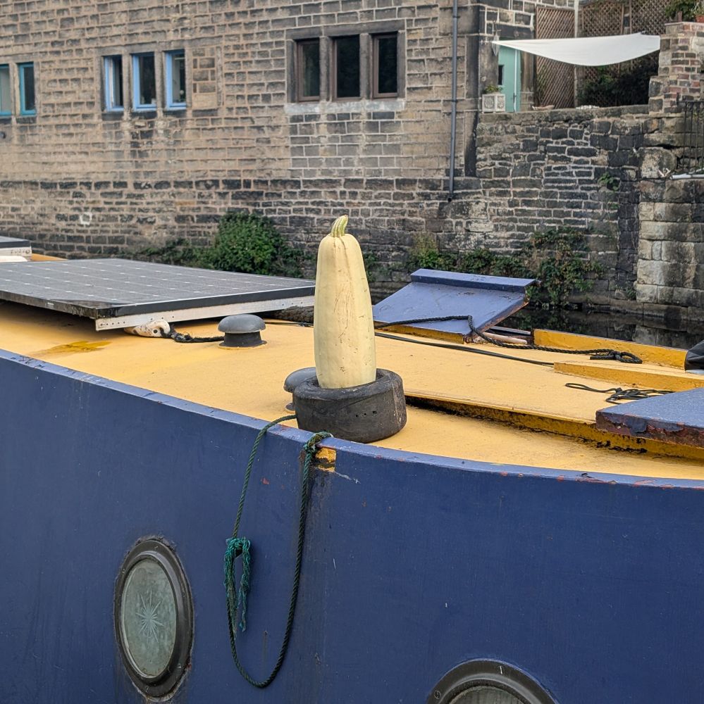 Photograph of a marrow standing stalk upright in a tyre that is lying flat on top of a narrow boat. The boat is mid blue with a warm yellow roof. Terraced houses rise directly from the far canal embankment.