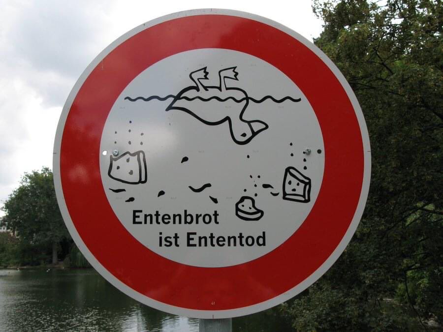Schild auf dem steht „Entenbrot ist Ententod“