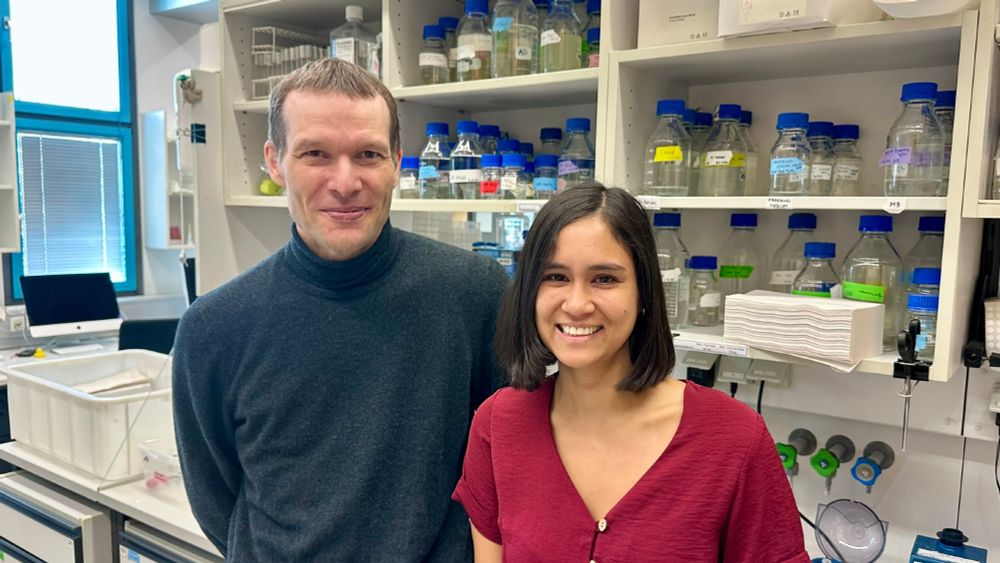 Perutz group leader Alex Dammermann together with first author Claudia Pachinger. (c) Max Perutz Labs