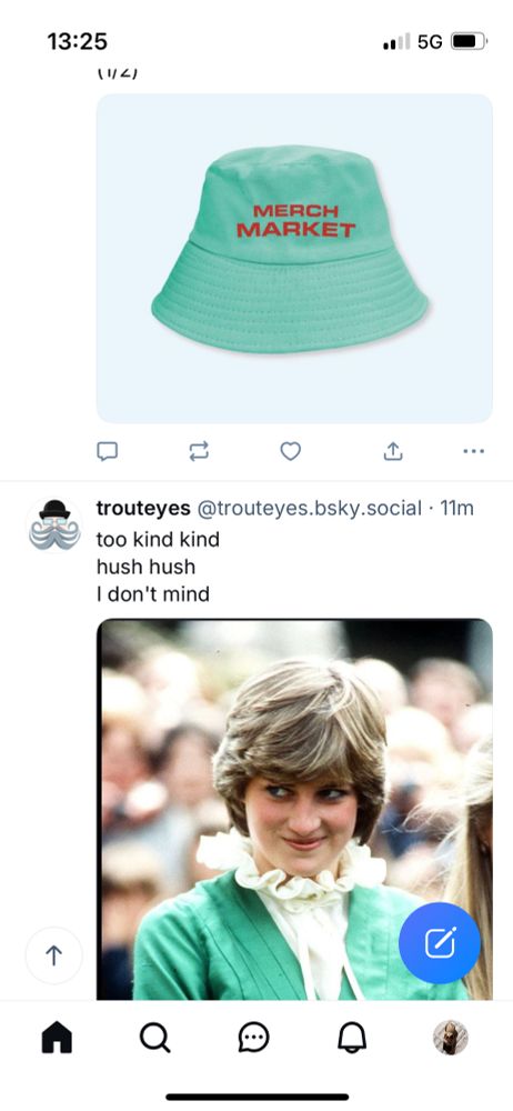 Screenshot of a green bucket hat above a post showing a photo of Princess Di wearing a jacket the same shade of green 