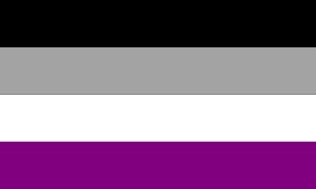 The Asexual flag (black on top, the second stripe is grey, third is white and the bottom stripe is purple).