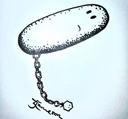Bland and white ink drawing of a cartoon phage chained to an unhappy bacterium