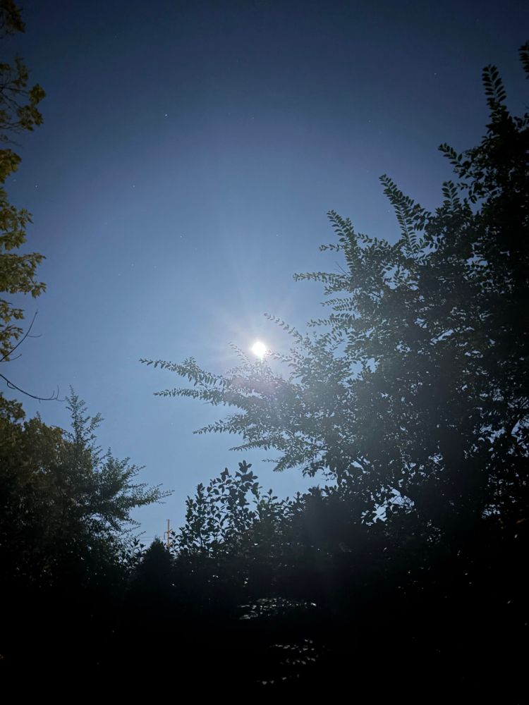 Full moon making the sky bright at night