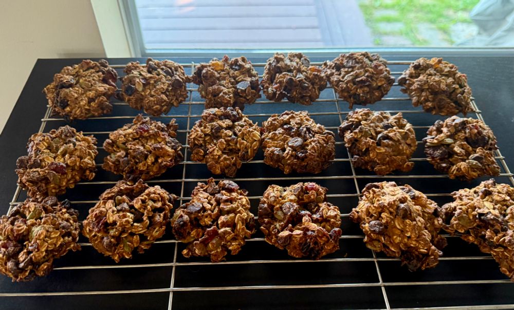 a cooling rack of 18 freshly baked pumpkin chocolate chip oatmeal cookies 