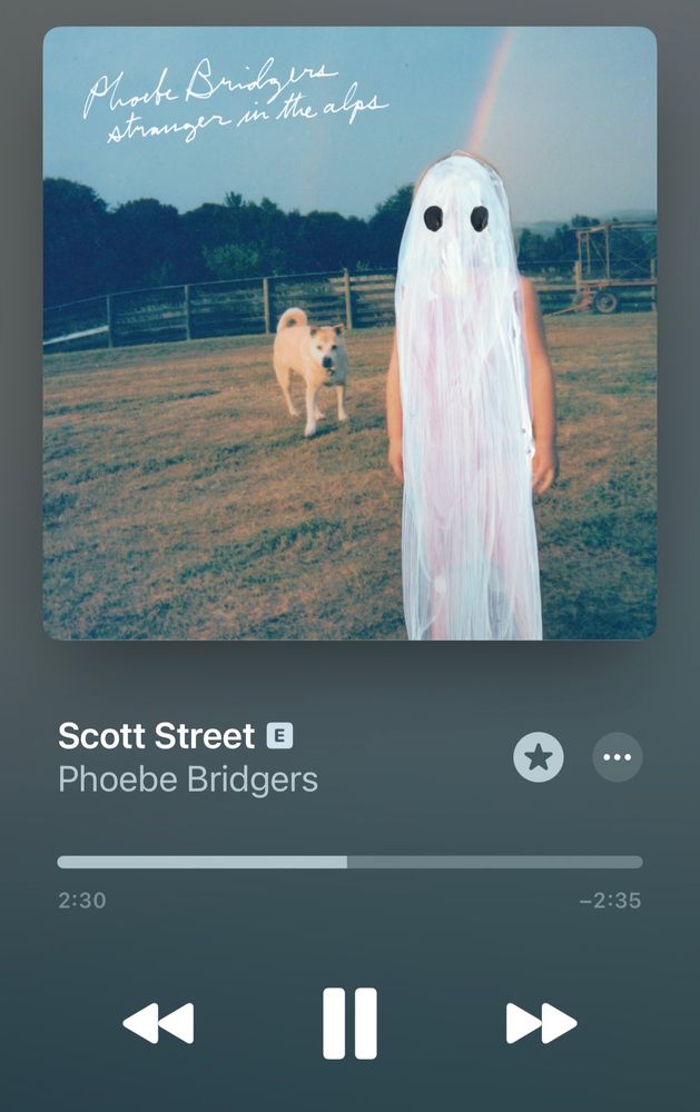 scott street - phoebe bridgers