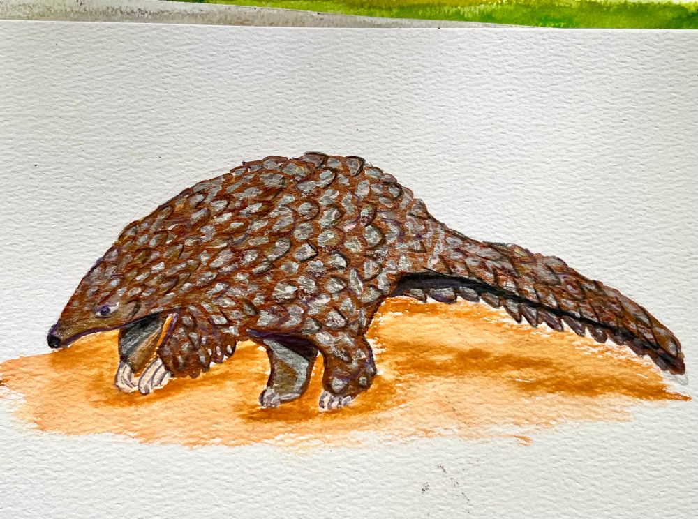 Pangolin drawn with acrylic markers, watercolor brush pens, and colored pencils. 