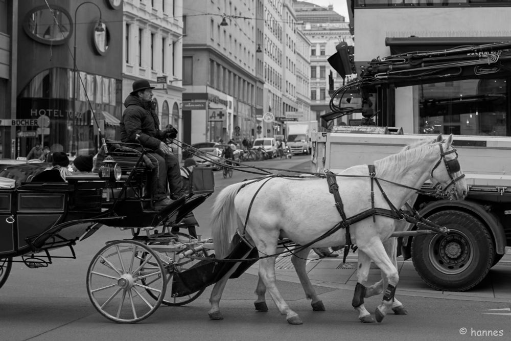 Das Bild zeigt eine städtische Straßenszene in Schwarz-Weiß. Im Vordergrund fährt eine traditionelle Pferdekutsche, gezogen von zwei weißen Pferden. Der Kutscher, in Winterkleidung und mit Hut, sitzt auf dem erhöhten Sitz und hält die Zügel. Hinter der Kutsche sieht man moderne Fahrzeuge, darunter einen Lastwagen, der die kontrastreiche Mischung von Tradition und Moderne betont. Die umliegenden Gebäude im Hintergrund sind mehrstöckig und zeigen einen typischen europäischen Baustil. Die Straße ist belebt, mit weiteren Autos und Menschen in der Ferne.

