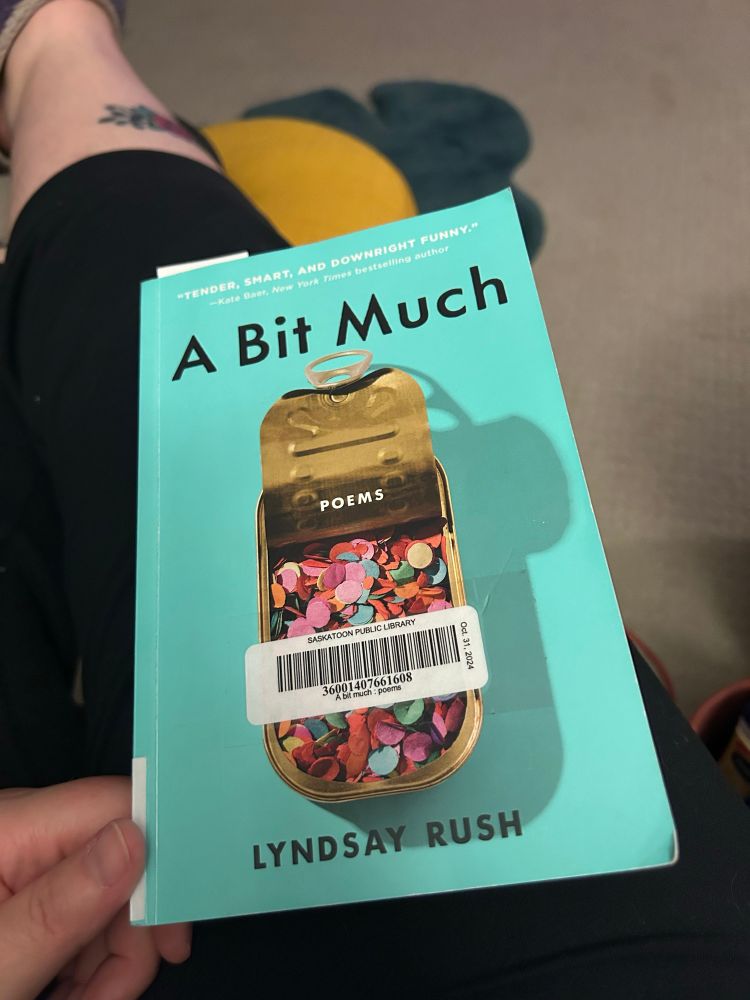 Photo of the book “A Bit Much” by Lyndsay Rush (yes, from the library)