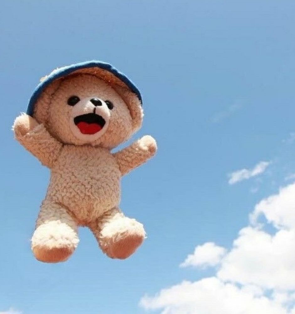 TEDDY BEAR AND A BUCKET HAT JUMPING IN THE SKY!!! SO HAPPY!!! this is a fafa bear btw!!