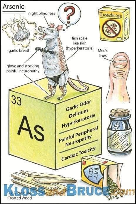 a rat stands on the elemental block of arsenic with garlic breath, night blindness confusion, glove and stocking painful neuropathy, and fish scale like skin. the cube of arsenic has AS and 33 on one side with garlic odor, delirium, hyperkeratosis painful peripheral neuropathy and cardiac toxicity written on it. there is a thumb with mees lines and insecticide in the top right corner. along with a jar of non traditional medicine, rat poison and pressure treated lumber. 
