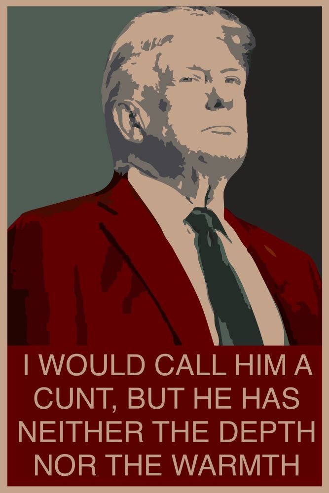 Poster of Trvmp done in the style of the Obama ‘Hope’ poster - colour palette has been changed to colours from WWII nazi colours and the word ‘hope’ changed to ‘i would call him a cunt, but he has neither the depth nor the warmth’ 