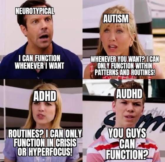 We’re the Millers meme. The image is square and divided into quadrants, with one of the four main characters in each section.

Top left:
Picture of the ‘dad’ (basic white guy) with the title “Neurotypical” above him and then the text “I can function whenever I want” below him

Top right:
Picture of the ‘mum’ (basic white lady) with the title “Autism” above her and then the text “Whenever you want? I can only function within patterns and routines!” below her

Bottom left:
Picture of the ‘daughter’ (basic white teen girl) with the title “ADHD” above her and then the text “Routines? I can only function in chaos or hyperfocus!” below her

Bottom right:
Picture of the ‘son’ (basic white teen boy) with the title “AuDHD” above him and then the text “You guys can function?” below him