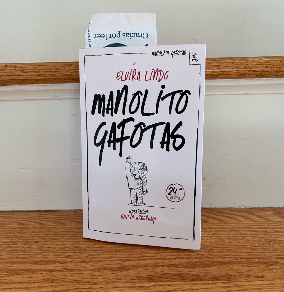 Photo of the book Manolito Gafotas on some stayed